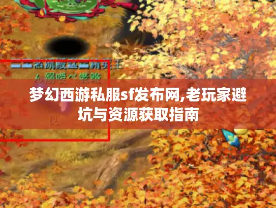梦幻西游私服sf发布网,老玩家避坑与资源获取指南