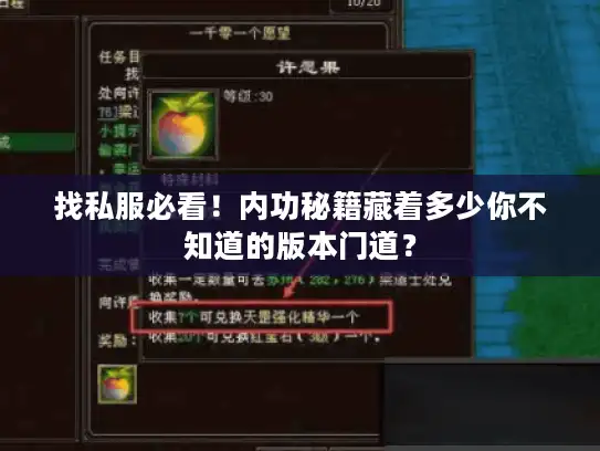 找私服必看！内功秘籍藏着多少你不知道的版本门道？