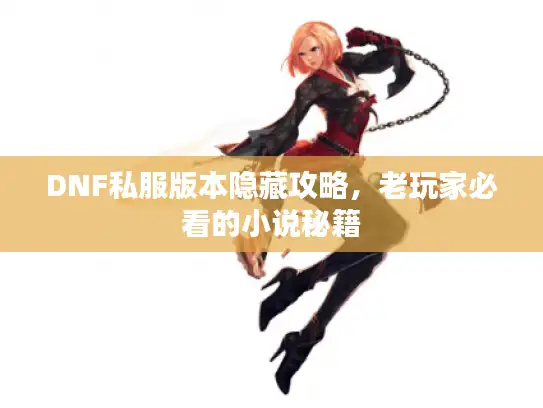 DNF私服版本隐藏攻略，老玩家必看的小说秘籍