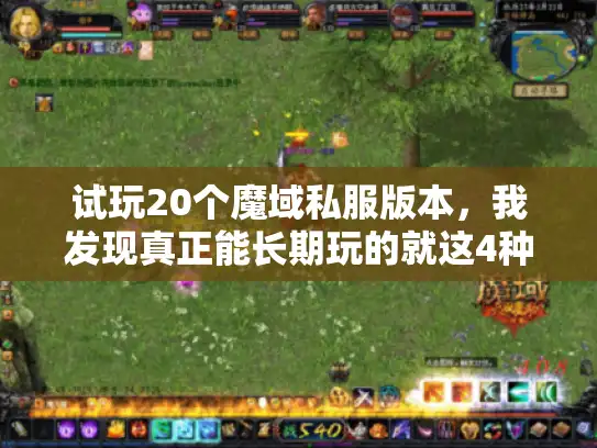 试玩20个魔域私服版本，我发现真正能长期玩的就这4种
