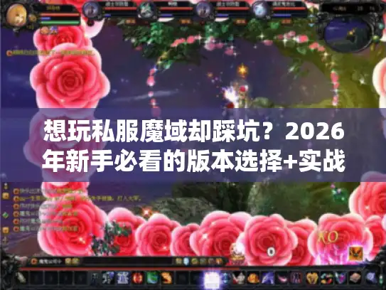 想玩私服魔域却踩坑？2026年新手必看的版本选择+实战技巧全解析