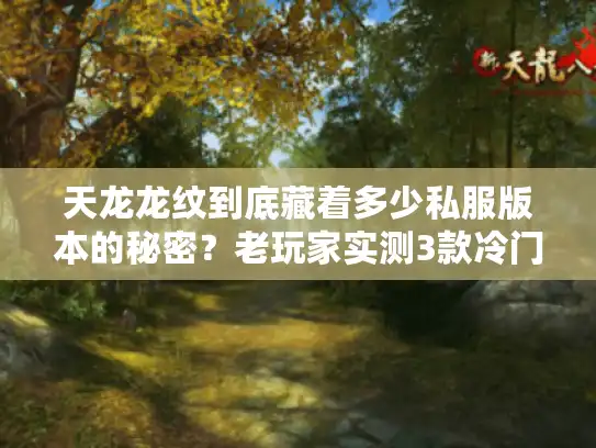 天龙龙纹到底藏着多少私服版本的秘密？老玩家实测3款冷门服的进阶套路