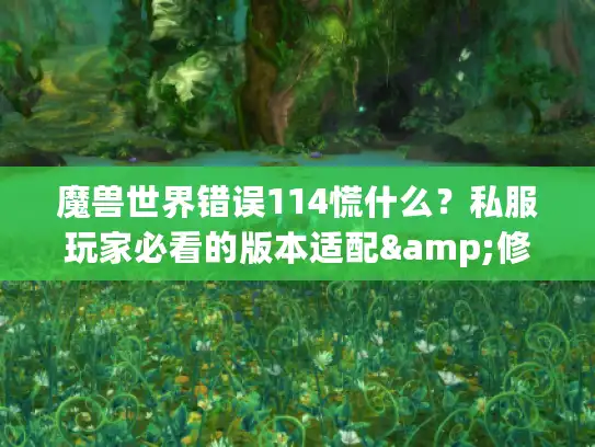 魔兽世界错误114慌什么？私服玩家必看的版本适配&修复实战手册