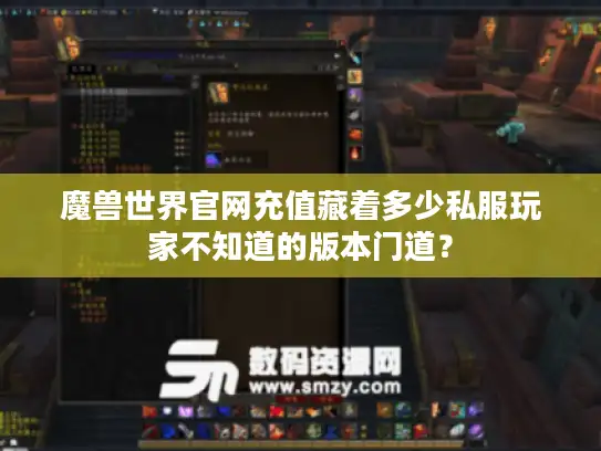 魔兽世界官网充值藏着多少私服玩家不知道的版本门道？