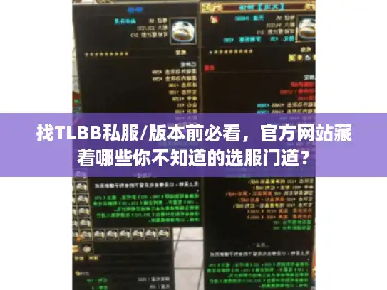 找TLBB私服/版本前必看，官方网站藏着哪些你不知道的选服门道？