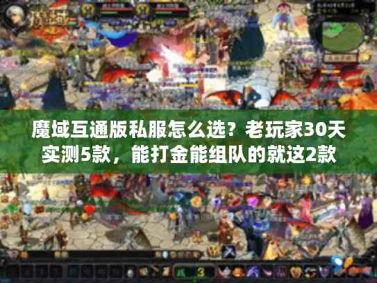 魔域互通版私服怎么选？老玩家30天实测5款，能打金能组队的就这2款