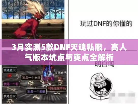 3月实测5款DNF灭魂私服，高人气版本坑点与爽点全解析