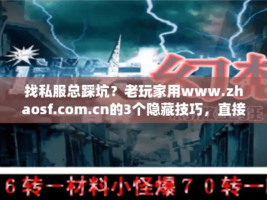 找私服总踩坑？老玩家用www.zhaosf.com.cn的3个隐藏技巧，直接锁定靠谱版本