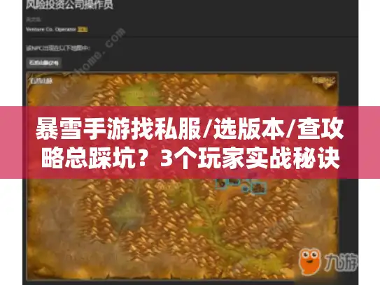 暴雪手游找私服/选版本/查攻略总踩坑？3个玩家实战秘诀帮你避坑