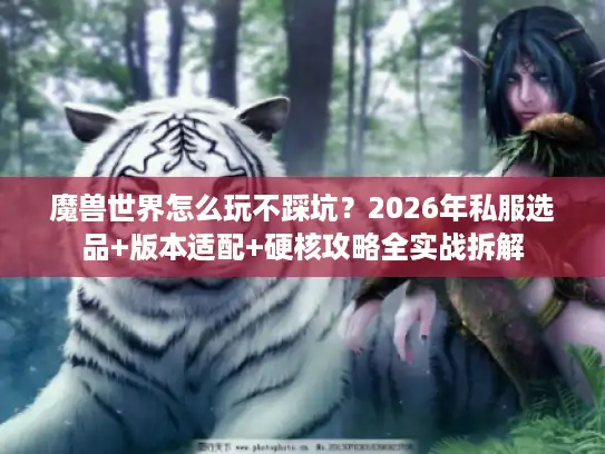 魔兽世界怎么玩不踩坑？2026年私服选品+版本适配+硬核攻略全实战拆解