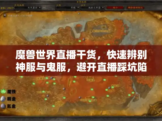 魔兽世界直播干货，快速辨别神服与鬼服，避开直播踩坑陷阱！