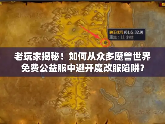 老玩家揭秘！如何从众多魔兽世界免费公益服中避开魔改服陷阱？