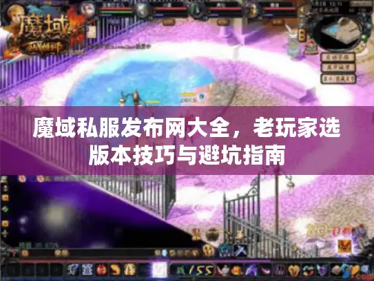 魔域私服发布网大全,老玩家选版本技巧与避坑指南 魔域私服发布网大全,老玩家选版本技巧与避坑指南