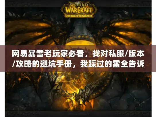 网易暴雪老玩家必看，找对私服/版本/攻略的避坑手册，我踩过的雷全告诉你