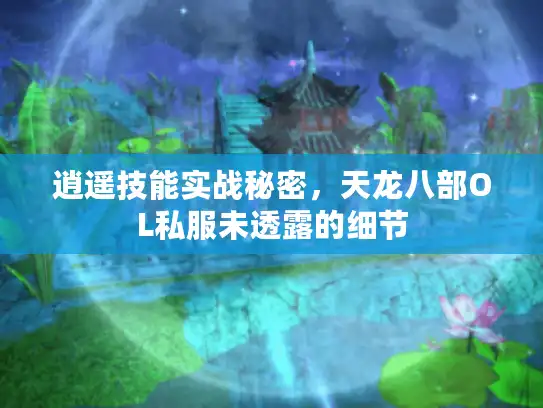 逍遥技能实战秘密，天龙八部OL私服未透露的细节