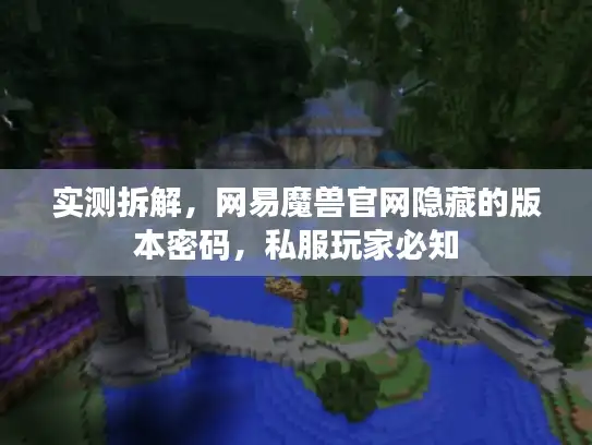 实测拆解，网易魔兽官网隐藏的版本密码，私服玩家必知