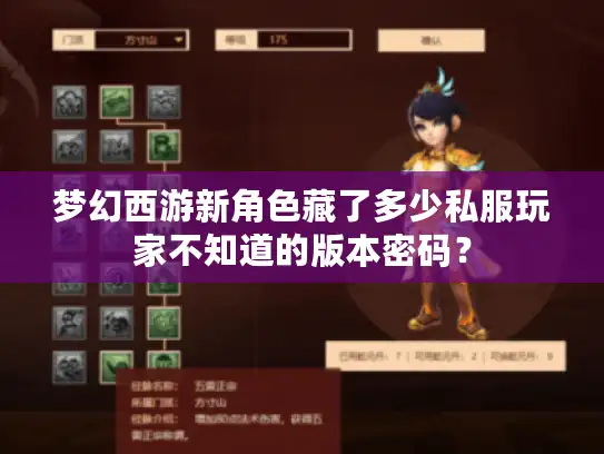 梦幻西游新角色藏了多少私服玩家不知道的版本密码？