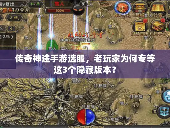 传奇神途手游选服，老玩家为何专等这3个隐藏版本？