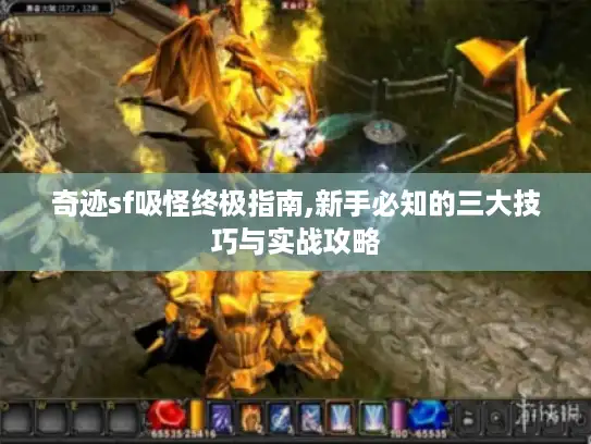 奇迹sf吸怪终极指南,新手必知的三大技巧与实战攻略