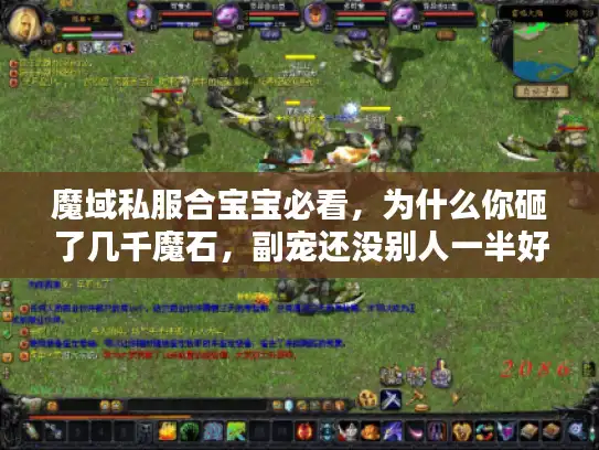 魔域私服合宝宝必看，为什么你砸了几千魔石，副宠还没别人一半好用？