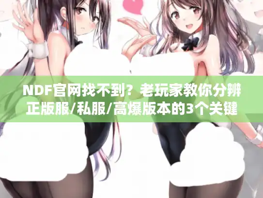 NDF官网找不到？老玩家教你分辨正版服/私服/高爆版本的3个关键