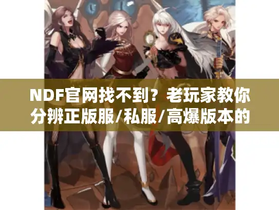 NDF官网找不到？老玩家教你分辨正版服/私服/高爆版本的3个关键