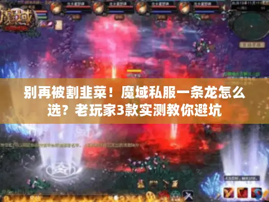 别再被割韭菜！魔域私服一条龙怎么选？老玩家3款实测教你避坑