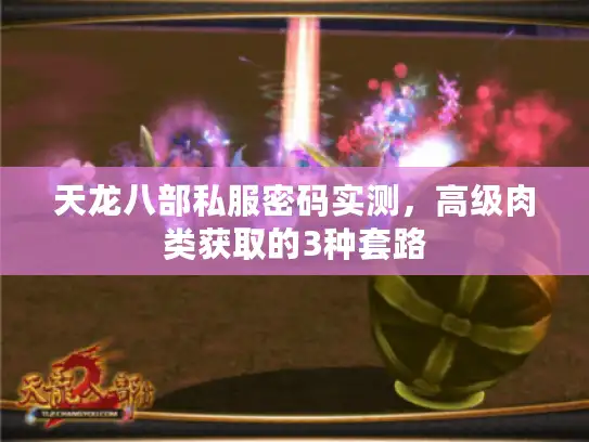 天龙八部私服密码实测，高级肉类获取的3种套路