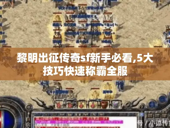 黎明出征传奇sf新手必看,5大技巧快速称霸全服