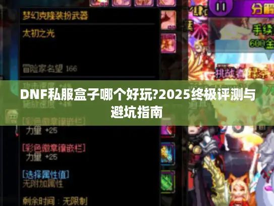 DNF私服盒子哪个好玩?2025终极评测与避坑指南 DNF私服盒子哪个好玩?2025终极评测与避坑指南