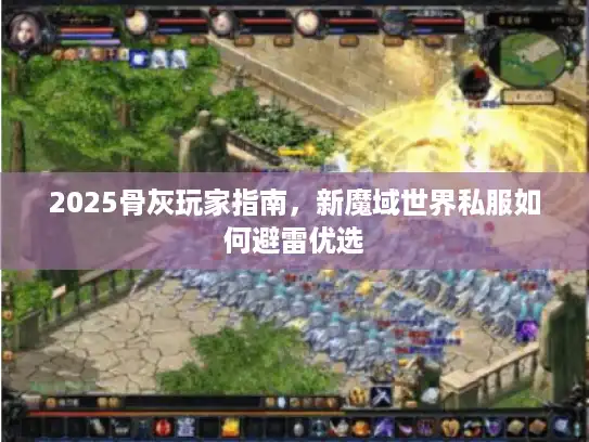 2025骨灰玩家指南，新魔域世界私服如何避雷优选