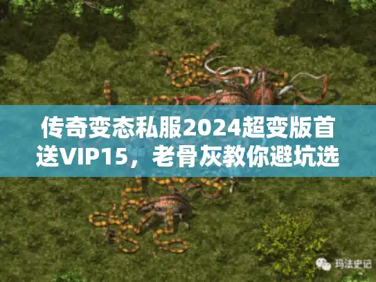 传奇变态私服2024超变版首送VIP15,老骨灰教你避坑选神服 传奇变态私服2024超变版首送VIP15,老骨灰教你避坑选神服