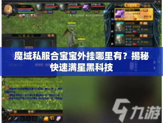 魔域私服合宝宝外挂哪里有？揭秘快速满星黑科技