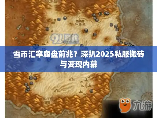 雪币汇率崩盘前兆？深扒2025私服搬砖与变现内幕