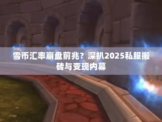 雪币汇率崩盘前兆？深扒2025私服搬砖与变现内幕