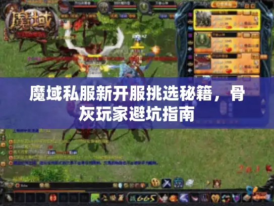 魔域私服新开服挑选秘籍，骨灰玩家避坑指南