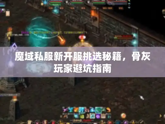 魔域私服新开服挑选秘籍，骨灰玩家避坑指南