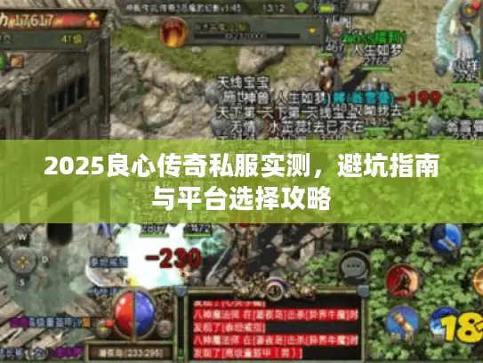 2025良心传奇私服实测，避坑指南与平台选择攻略