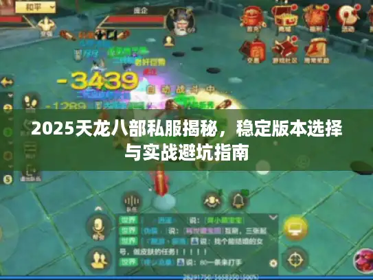 2025天龙八部私服揭秘，稳定版本选择与实战避坑指南