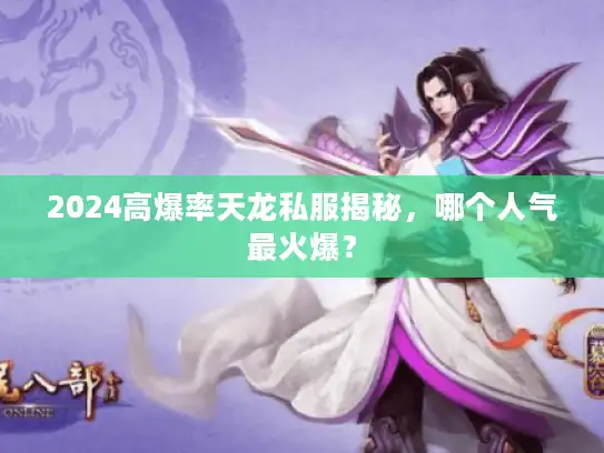 2024高爆率天龙私服揭秘，哪个人气最火爆？