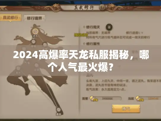 2024高爆率天龙私服揭秘，哪个人气最火爆？