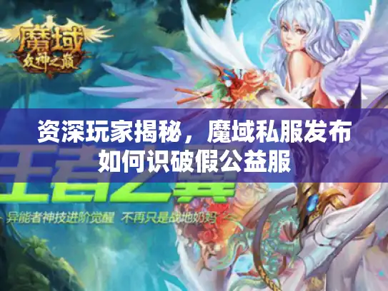 资深玩家揭秘，魔域私服发布如何识破假公益服