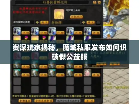 资深玩家揭秘，魔域私服发布如何识破假公益服
