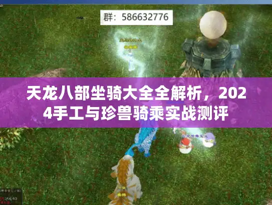 天龙八部坐骑大全全解析，2024手工与珍兽骑乘实战测评
