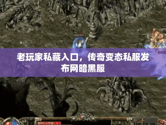 老玩家私藏入口，传奇变态私服发布网暗黑服