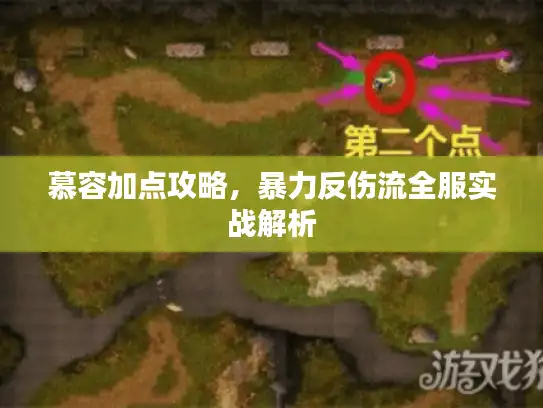 慕容加点攻略，暴力反伤流全服实战解析