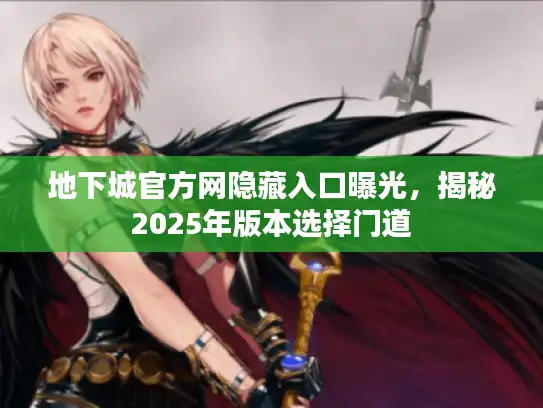 地下城官方网隐藏入口曝光，揭秘2025年版本选择门道