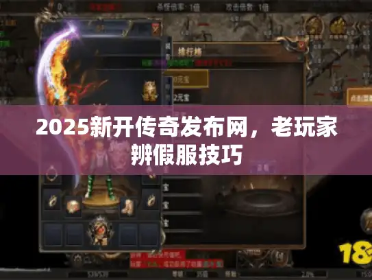 2025新开传奇发布网，老玩家辨假服技巧
