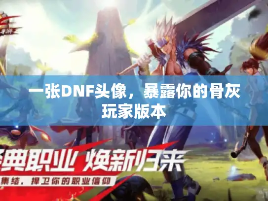 一张DNF头像，暴露你的骨灰玩家版本