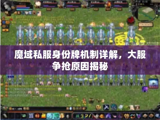 魔域私服身份牌机制详解，大服争抢原因揭秘